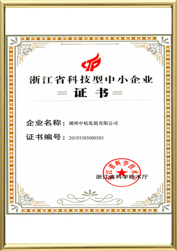 Zhejiang-provinsen Science and Technology Små och medelstora företagscertifikat